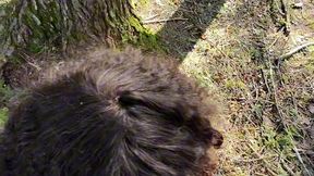 cruising for girlcock in the woods pov
