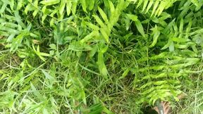 Big Cock Jerking in Beautiful Garden