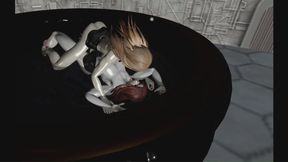 Title SL Interactive Cat Fighting 3of5