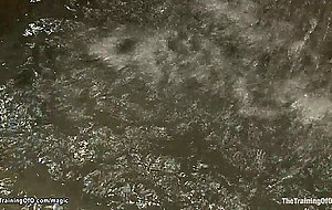 Ebony slave trainee dunked in water