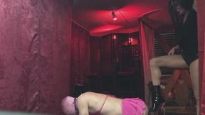 Obey Maitresse!