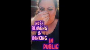 Honk if You Love Fall (Your Pretty Snotty Goddess Did)