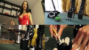 Young Mistress Crushing 98 wmv