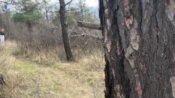 SkinLovers' Forest Frenzy: Brunette Babe Craves Outdoor Lovemaking