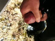 Van Driver Public Pissing & Cum - SlugsOfCumGuy