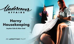 Horny Housekeeping