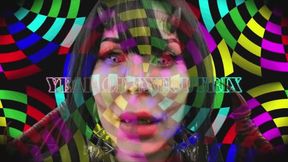 Year of Executrix - ASMR