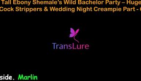 English Audio Sex Story - Tall Ebony Shemale’s Wild Bachelor Party - Huge Cock Strippers & Wedding Night Creampie - 6