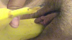 Nerdy brunette BBW fattie pokes her hairy cooch with banana