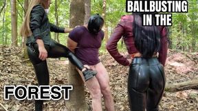 EvilWoman: Ballbusting destruction in the forest