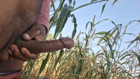 Big dick masturbation