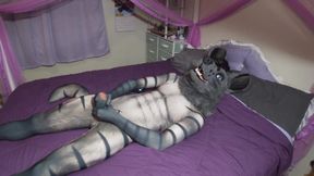 Just A Hyena Boy Pawing
