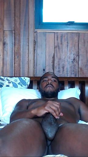 Wife Takes BBC in Ass for 1st Time