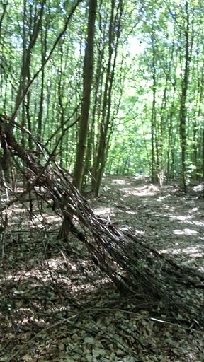snotting in the forest