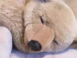 A 3some Bang with 2 Hawt Sex Goddesses to Screw Hard in the Booty