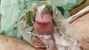 Cbt Stinging nettles candle wax cum
