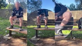 amateur boy lost a bet and had to expose and touch his cock in a park