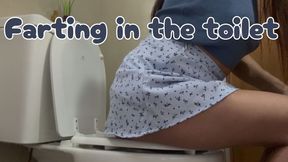 Farting in the toilet + my skirt is smelly