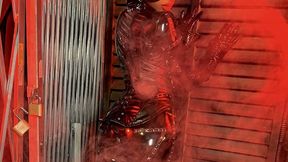 Catwoman PVC ASMR
