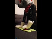 Rubber wolf fucking dragon muzzle