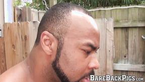 ”Bald hunk Matt Stevens gets banged raw in interracial bang”