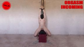 Intense Sybian prostate milking orgasms restrained guy moaning