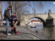 STAXUS :: Horny Tourists