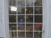 Giant fake tits crossdresser BTS photoshoot peeping tom