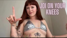 JOI On Your Knees