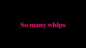 Many Whips- wmv