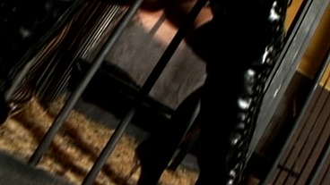 Hardcore SM Lesbian Action Jail