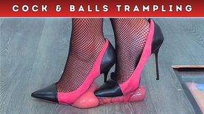 Office Stiletto Destruction: Crushing Your Cock & Balls Flat Under My Pink Work Heels & Fishnet Pantyhose (D84) - Dick Cam - Trampling CBT CockBox Shoe Crush Fetish