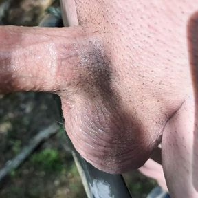 Deer stand cumshot.