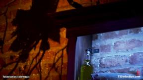 ”Transgender fucking Las Vegas bartender”