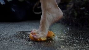 Pro-Cam Orange Crush – 36 Citrus Under My Feet (1080p)