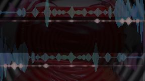 Reject Ripoff 2: Muffled Mind Fuck