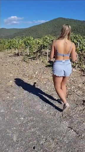 Parthouze in the Var Vineyards