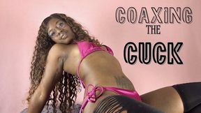 Coaxing the Cuck