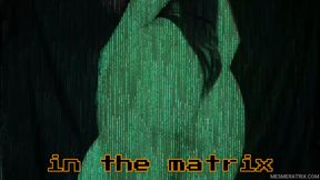 IN THE MATRIX