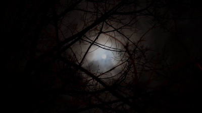 Stuffed by the Witch: Feeding POV Fantasy