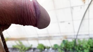 Inspeccionando la terraza en la obra