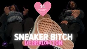 14 Days of BNWO Training Day 9: Sneaker Bitch Degradation