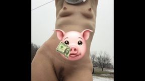 PUPPY HOUSE PLAYS OUTDOORS