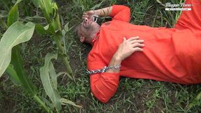 stepbrother the escaped prisoner part 1 featuring gina gerson and diane chrystall