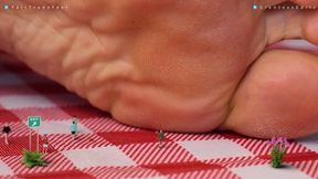 Tiny Picnic - Part 2 - 4 k