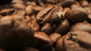 Vanessa Blue Sexy Walking and Fitness