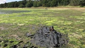 messy cute girl, dirty muddy and gunged in sexy pink