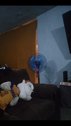 My Shein Fan Arrived