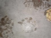 Peach Crush & Trample. Destroyed under my dirty boot 👣👣