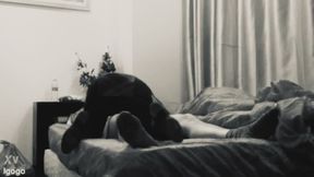 Sandra Sharapoff 457644